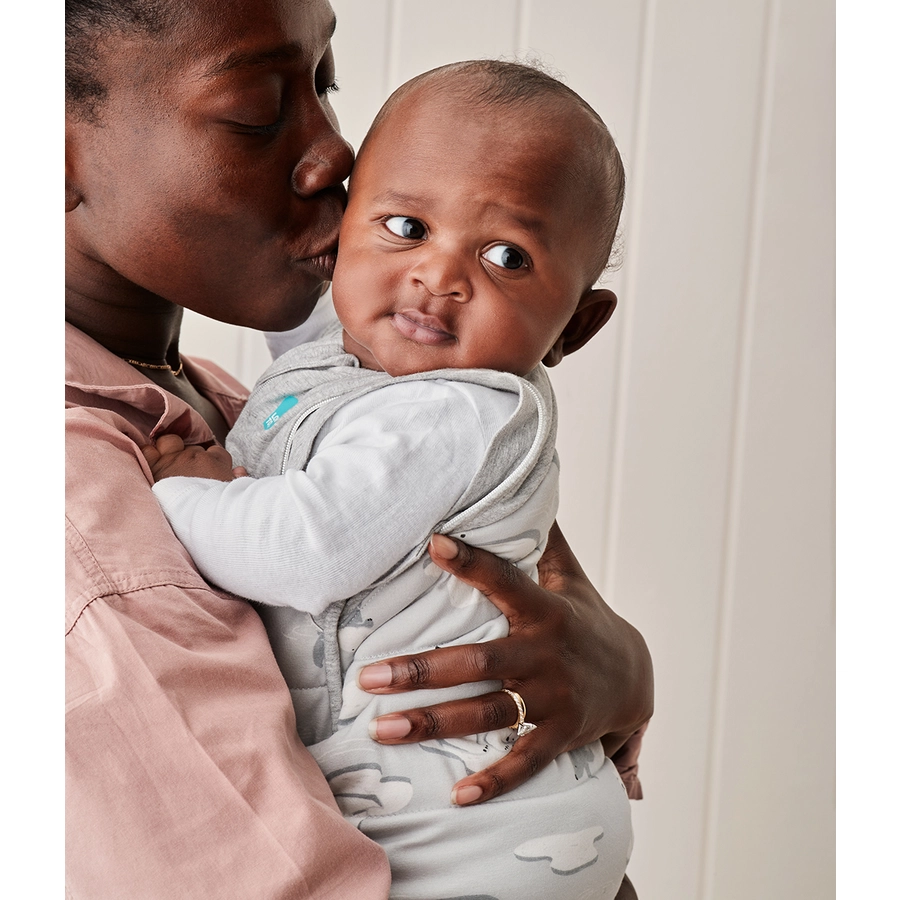 Love to dream™ Swaddle Up™ Übergangspucksack Südpol grau