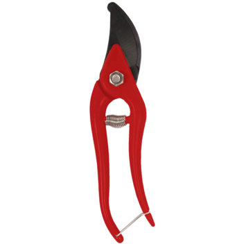 Talen Tools snoeischaar budget