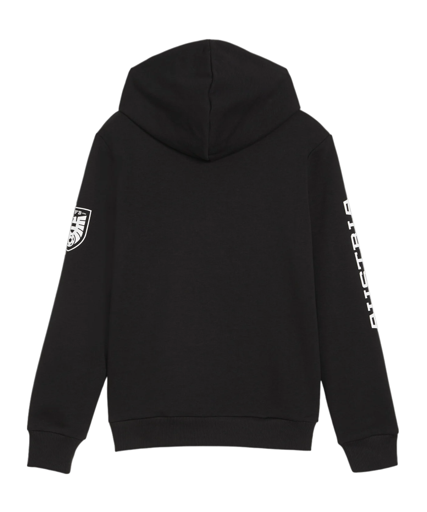 PUMA Österreich Ftbl Icons Hoody Kids Schwarz F08