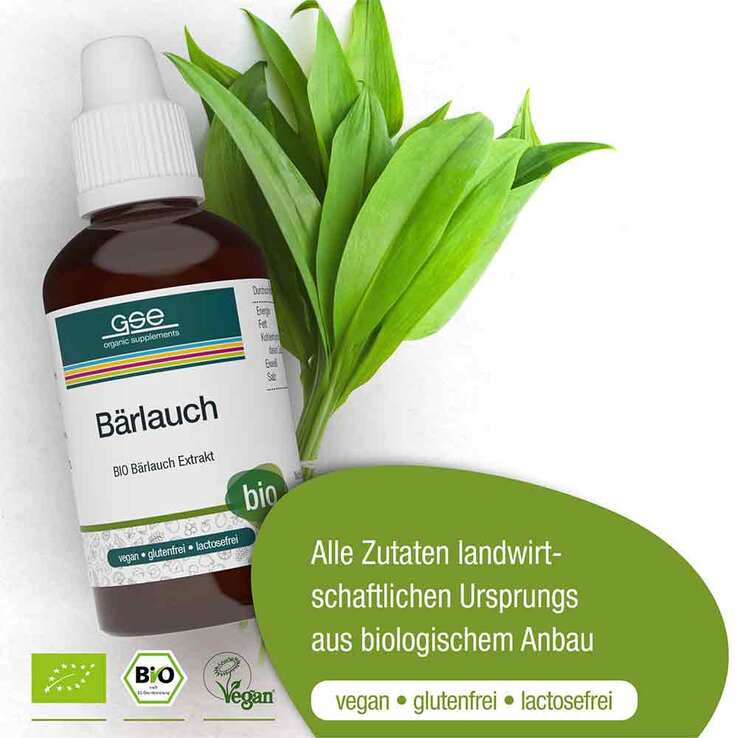Bärlauch Extrakt Bio 24% V / V, 50 ml