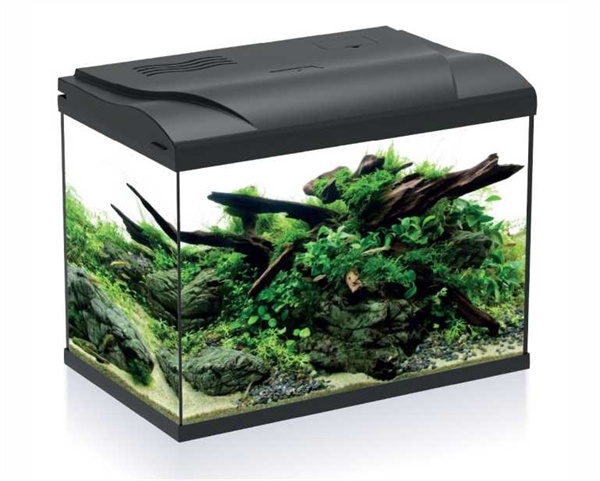 HS Aqua Aquarium Platy 50 LED Zwart | Aquaria