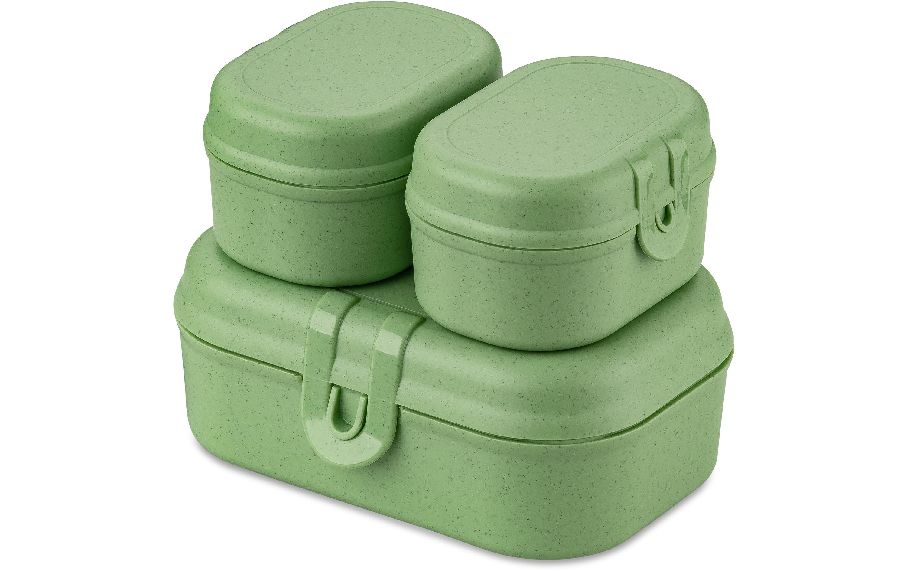 Lunchbox Pascal Ready Mini GrünGrüne Frühstücksdosen