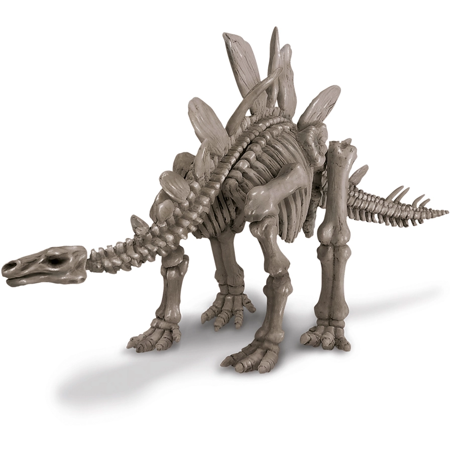 4M KidzLabs - Dinosaurier Ausgrabung Stegosaurus Mehrfarbig