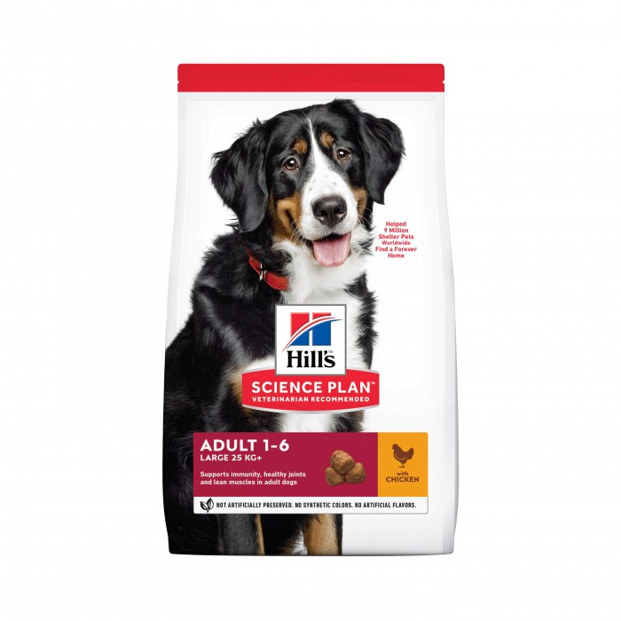 HILL'S Science Plan Large Adult au Poulet - Croquettes pour chien