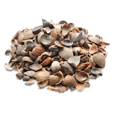 Muschelmulch