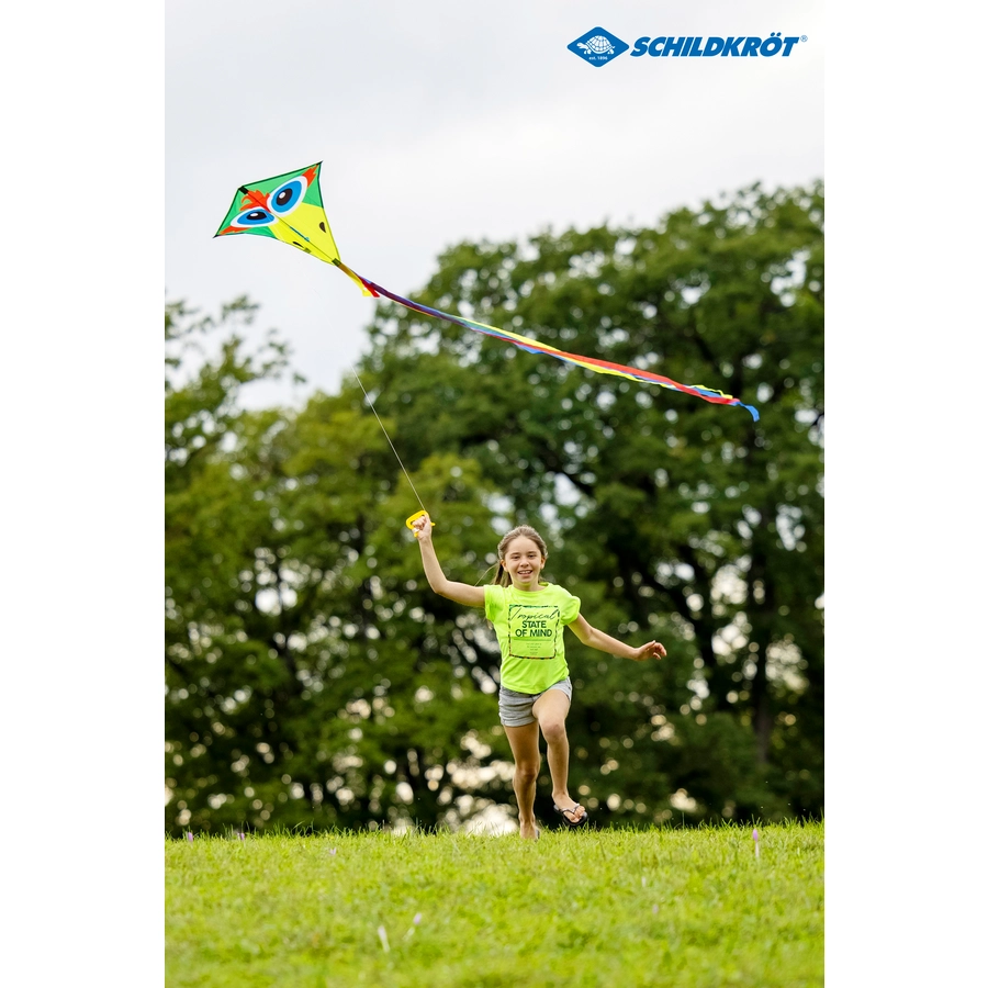 SCHILDKRÖT® Classic Kite 70 “Crazy bird”