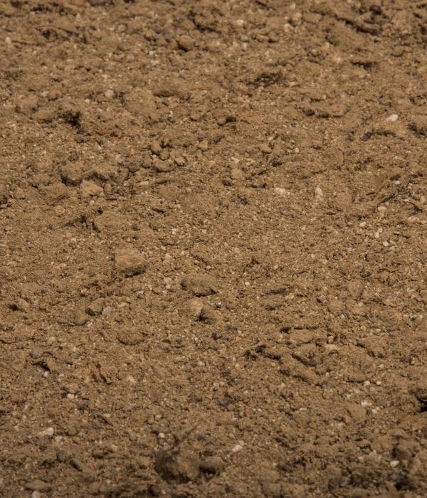 COMPO BIO Naturdünger mit Guano