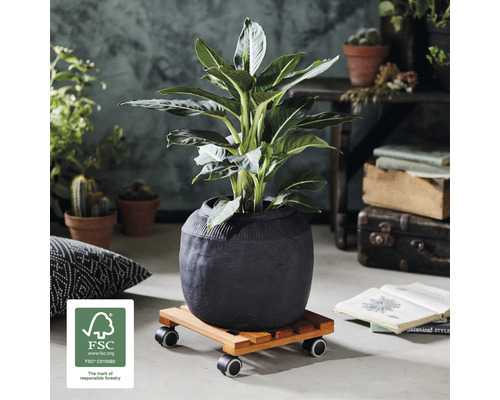 Wagner Country plantenroller met vloerbeschermende zachte wielen, grenenhout, 28x28 cm, max. draagvermogen 100 kg