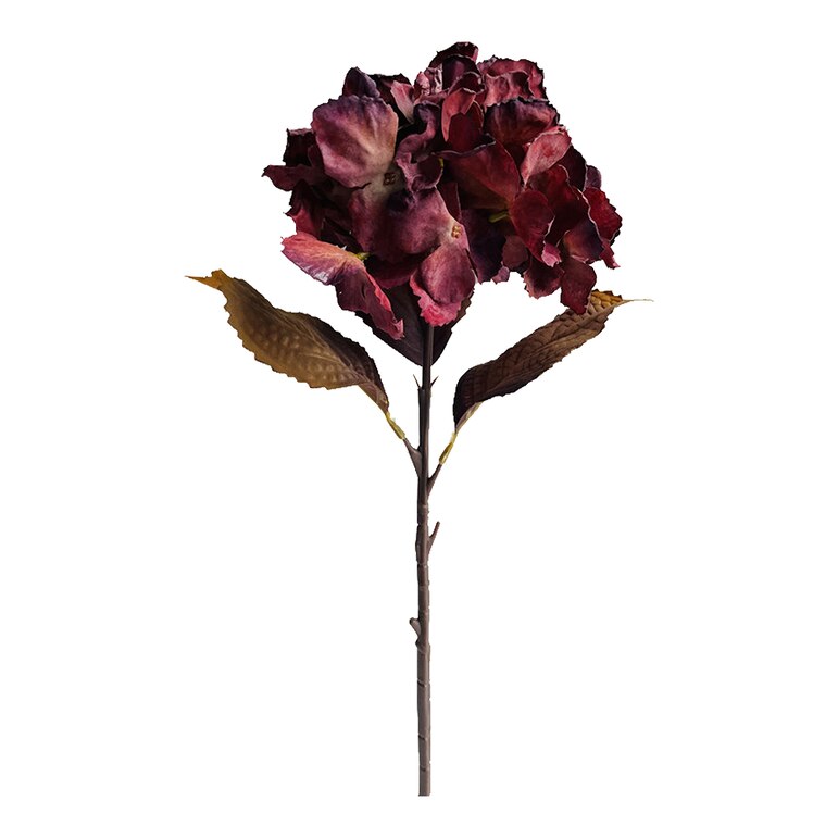 bordeaux, L 48 cm
