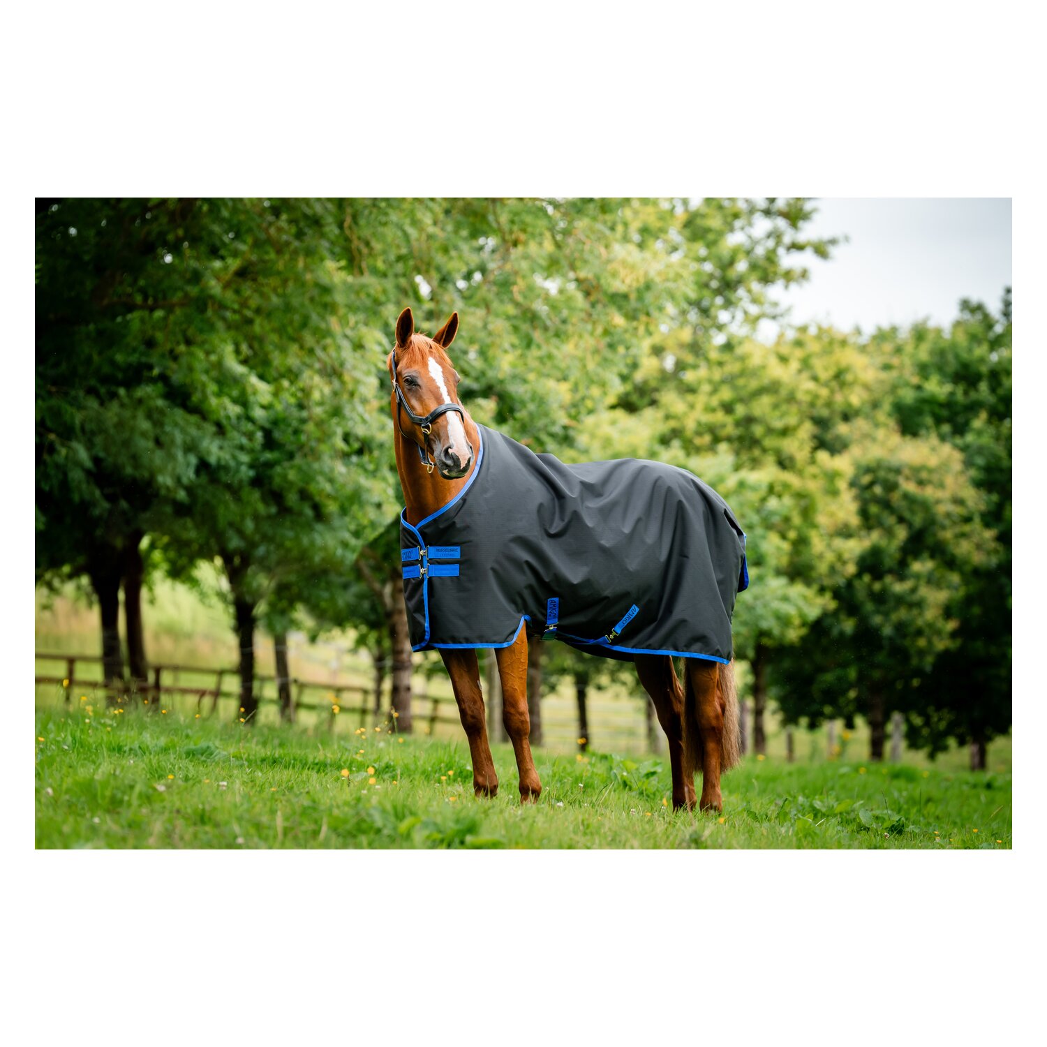 HORSEWARE Weidedecke AMIGO Ripstop 900 Fleece Lining, 50 g - black/classic blue