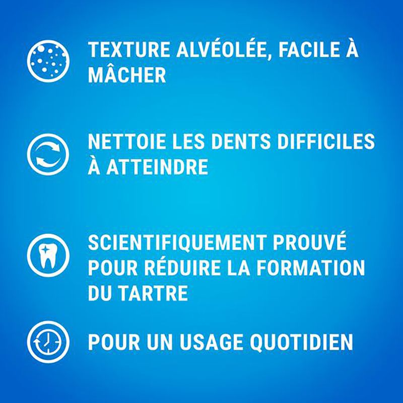 PURINA Dentalife Bâtonnets à mâcher pour chien de taille moyenne (12-25 kg)
