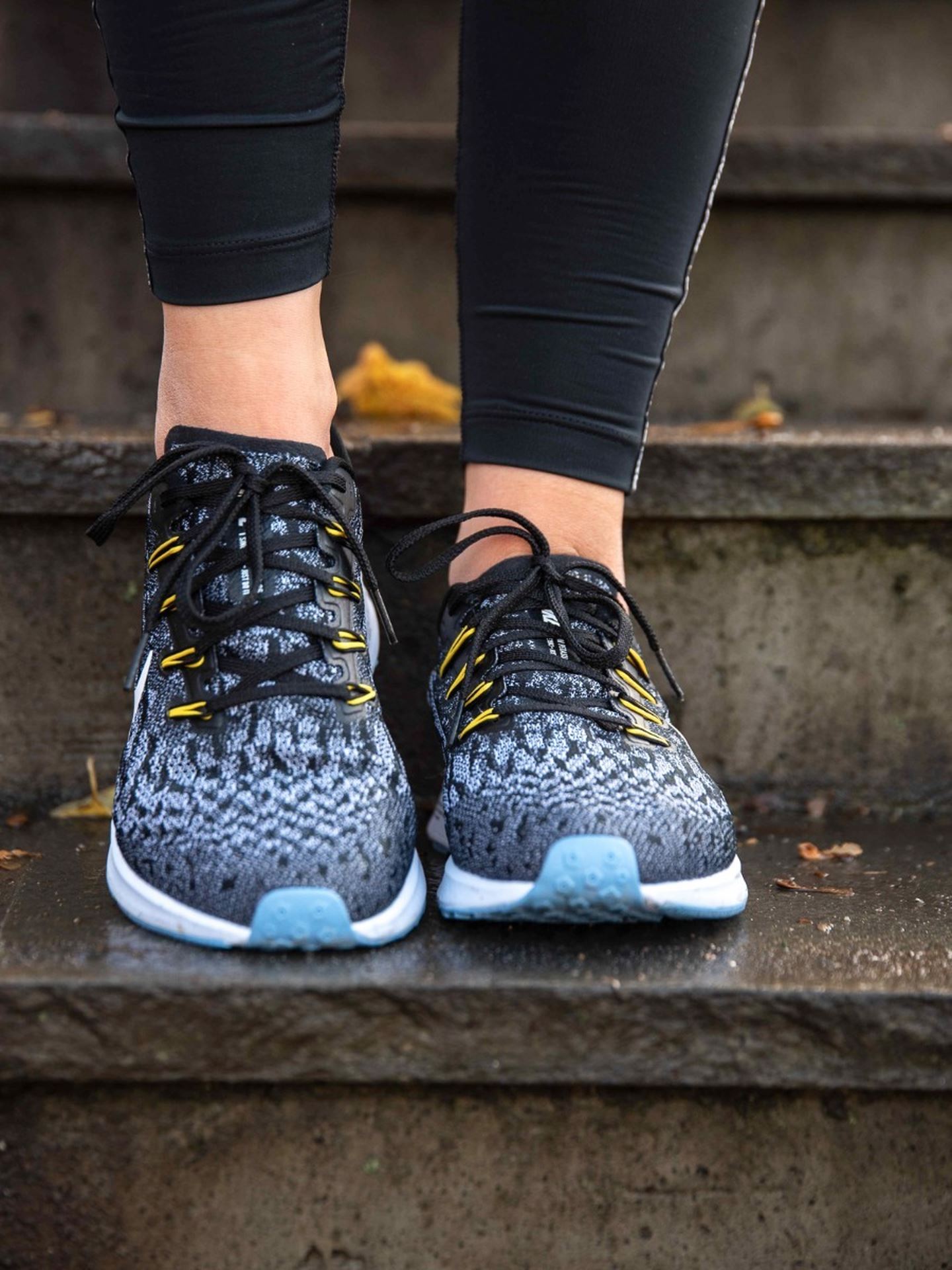 Air Zoom Pegasus 36
