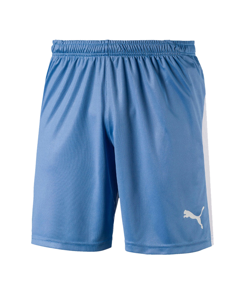 PUMA LIGA Short Blau Weiss F18