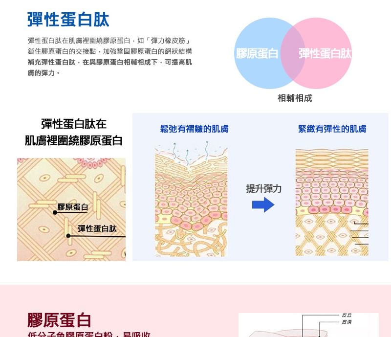 FINE JAPAN - Hyaluron & Collageen + Ubiquinol Q10 Poeder Bliktype