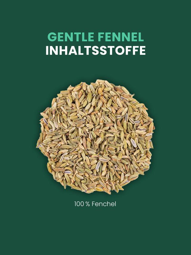 Kräutertee Fenchel, 3er-Set