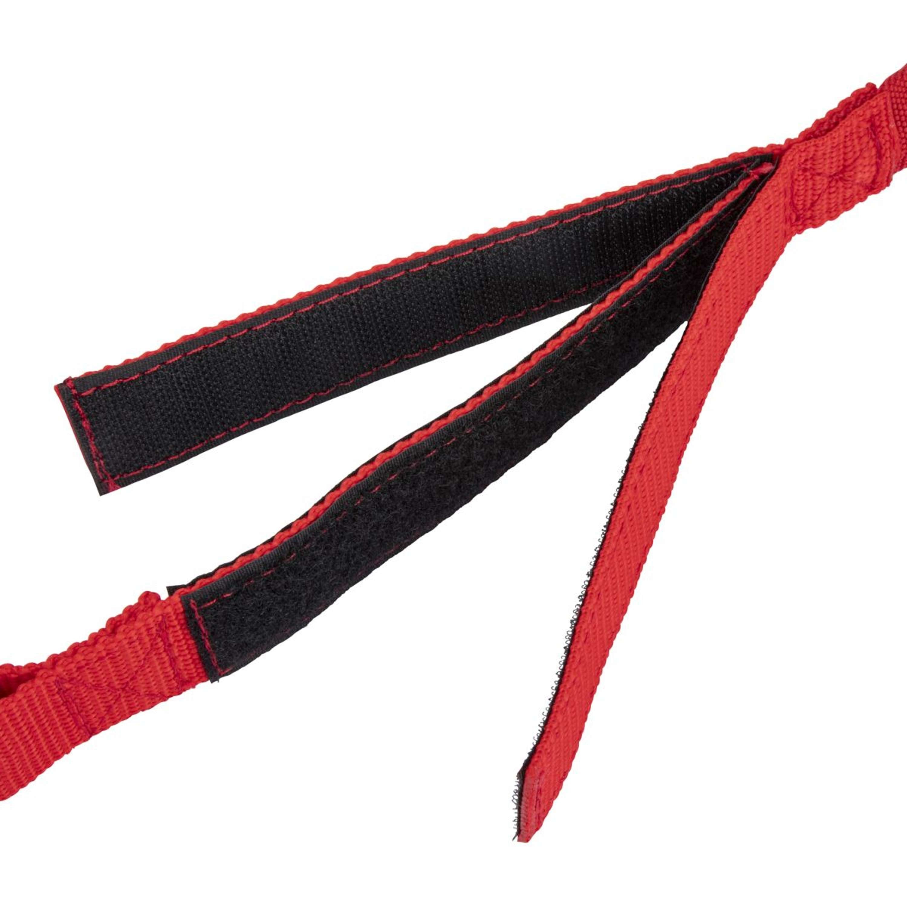 Shires Vastzetlijn Bungee Beakaway Rood