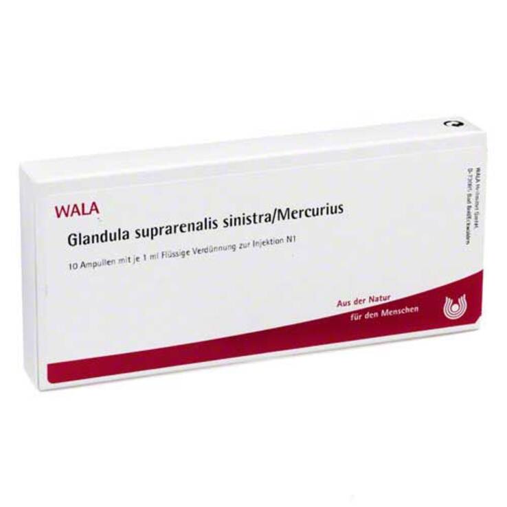 Glandula suprarenalis Sinistra / Mercurius Ampullen, 10X1 ml
