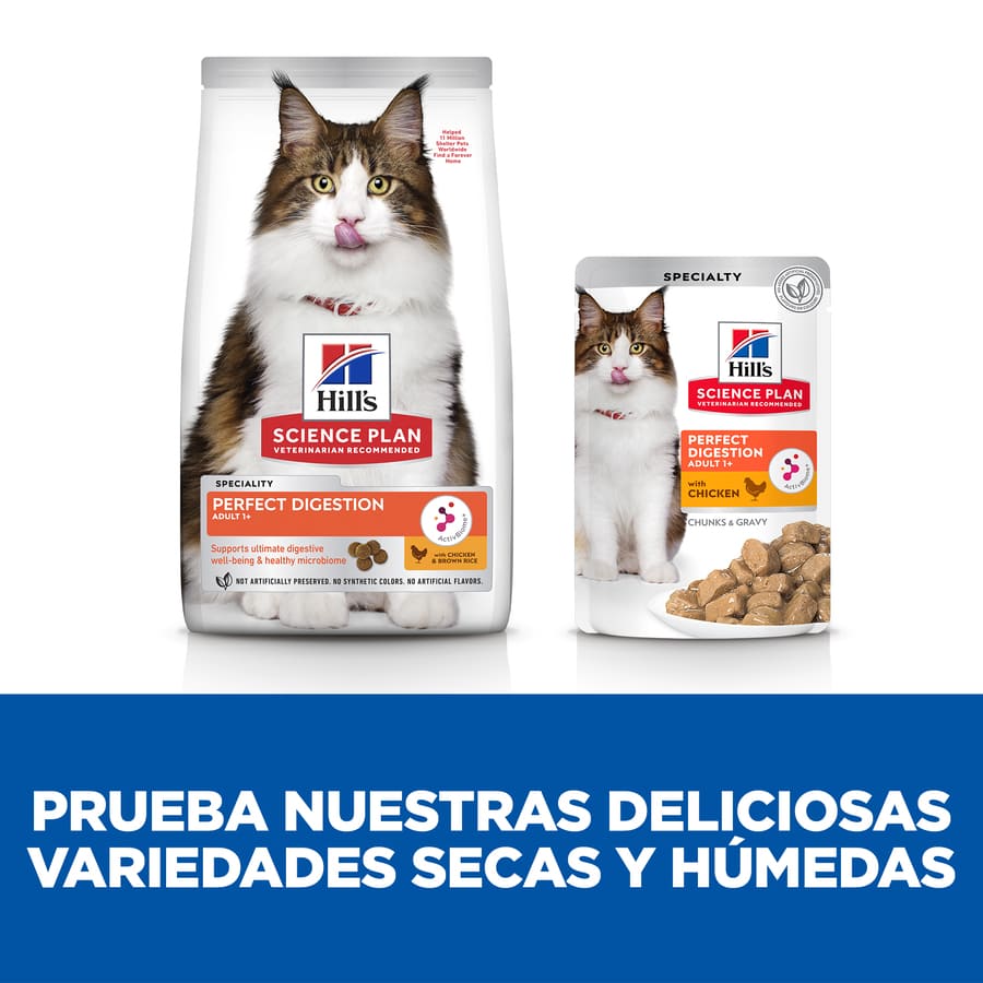 Ração úmida para gatos Hill's Science Plan Adult Perfect Digestion sabor frango