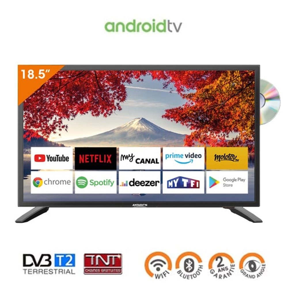 Smart TV LED HD Lecteur DVD 48 cm 18,5 pouces ANTARION