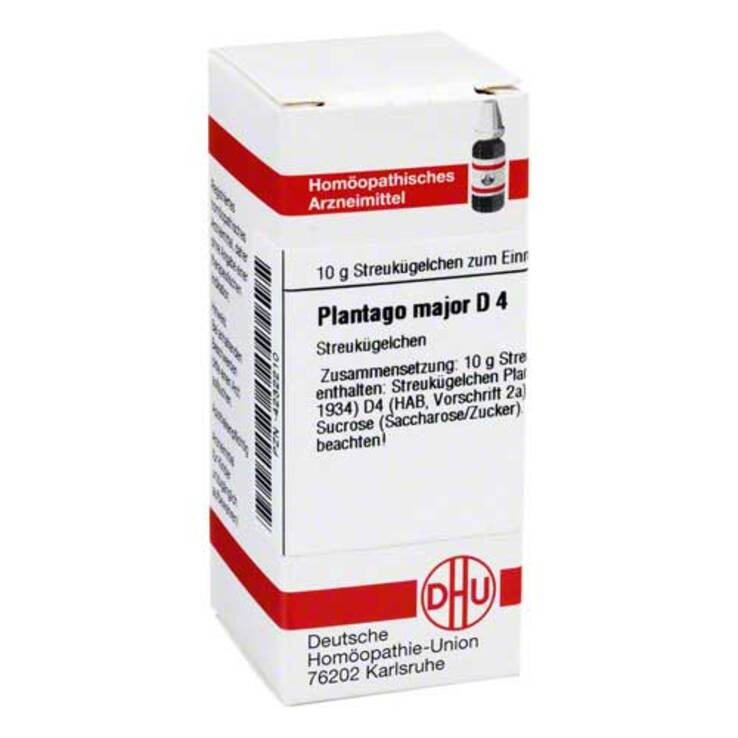 DHU Plantago Major D 4 Globuli, 10 g