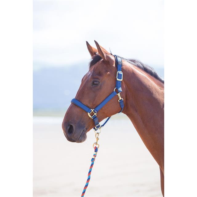 Halster Shires Nylon Topaz Donkerblauw-blauw