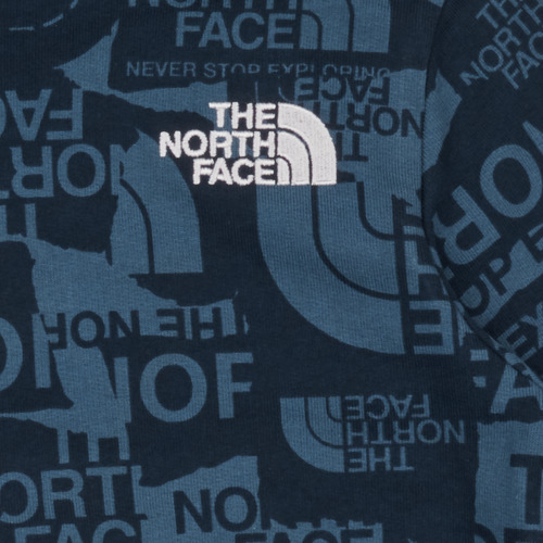 The North Face - BOYS DREW PEAK LIGHT P/O HOODIE - Bleu