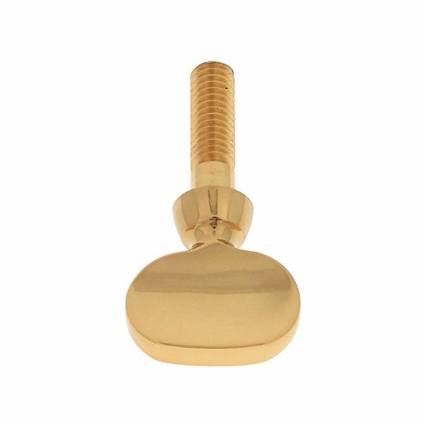 Yamaha S- Neck Screw