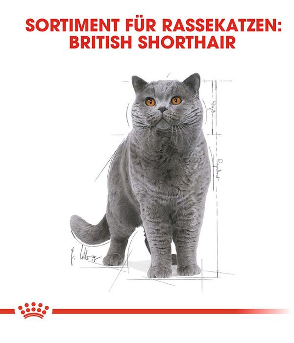 ROYAL CANIN® Nassfutter für Katzen British