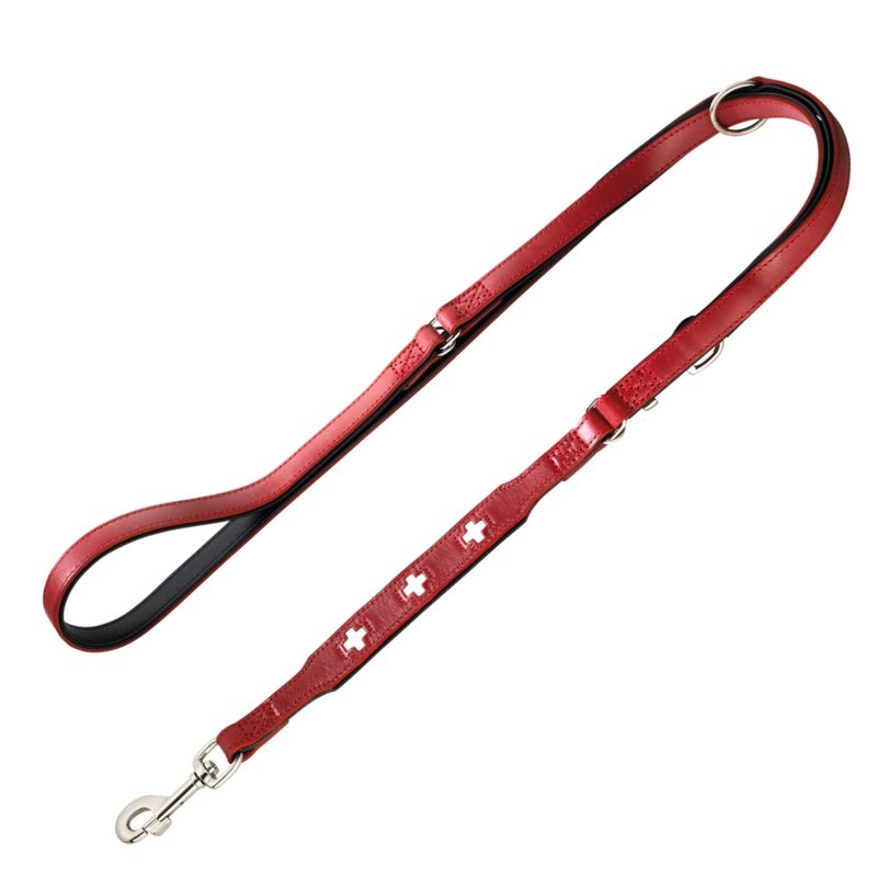 Lot Hunter : collier + laisse Swiss en cuir