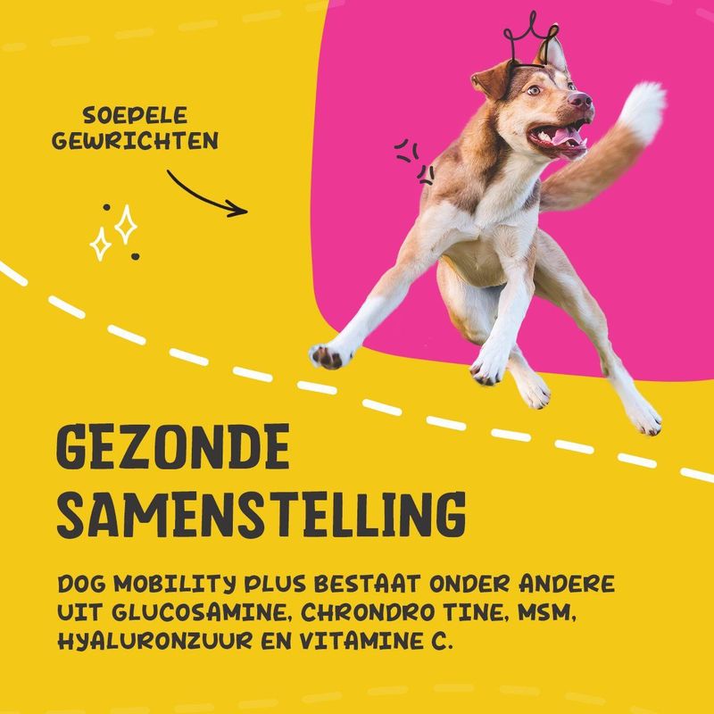 Excellent - Dog Mobility Plus - Dierensupplement - Groenlipmossel