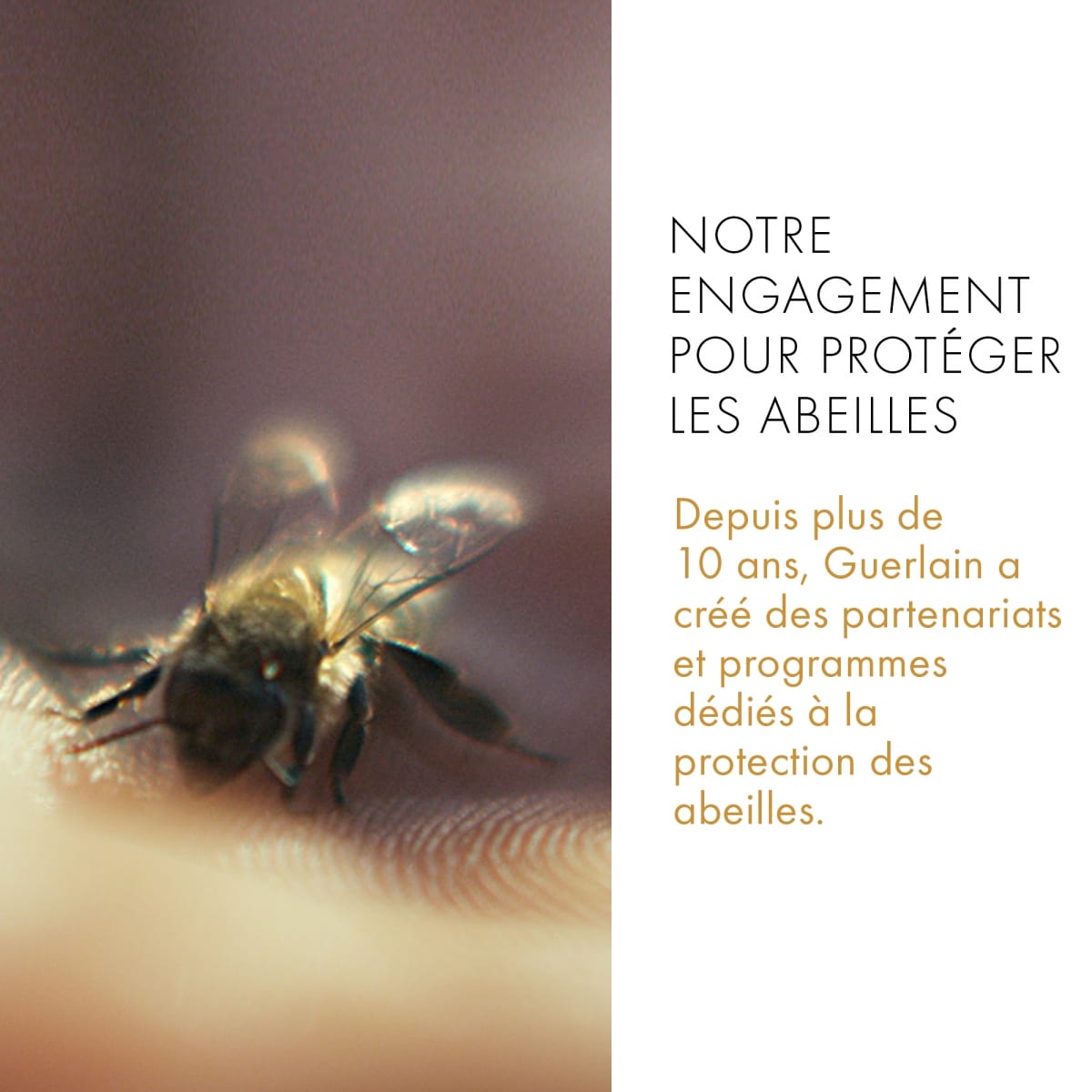 GUERLAIN Abeille Royale Gel Hygiène &  Douceur Des Mains