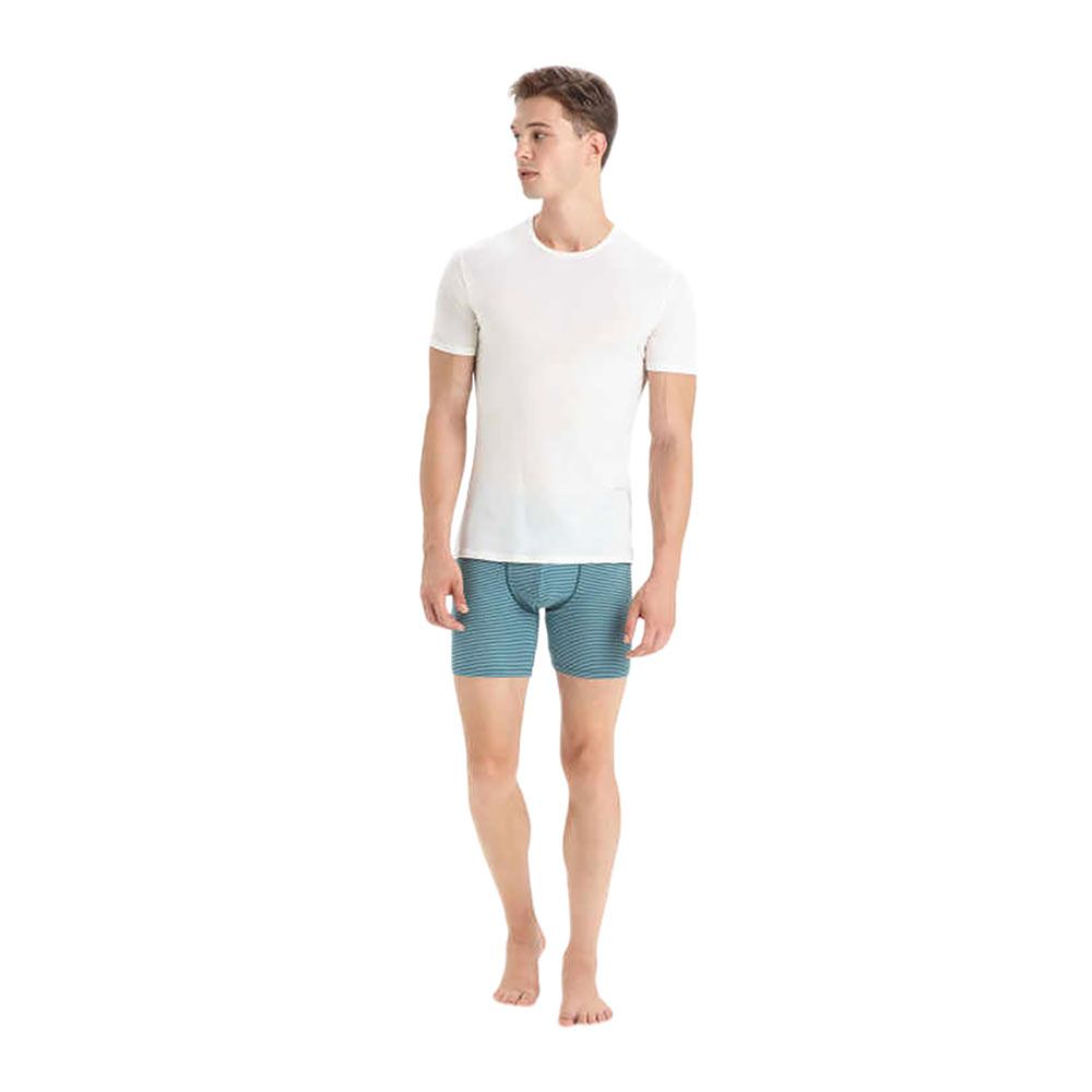 Icebreaker ANATOMICA LONG - Boxer Homme grnglr/astblu/s