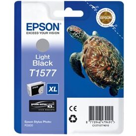 Epson Turtle Cartouche 