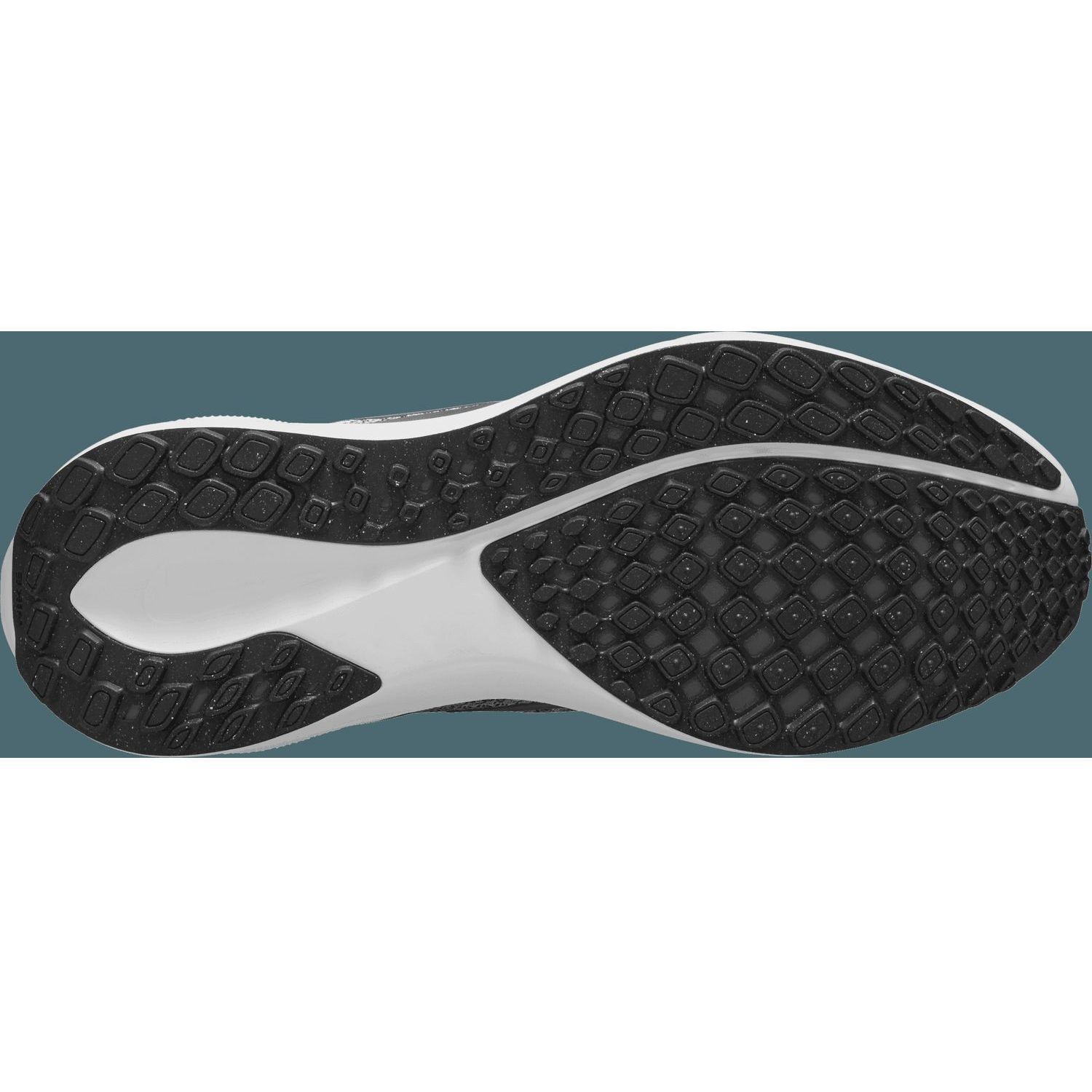 NikeNike Pegasus 41 Women