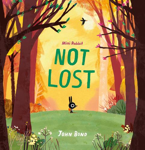Mini Rabbit Not Lost - Mini Rabbit (Paperback)