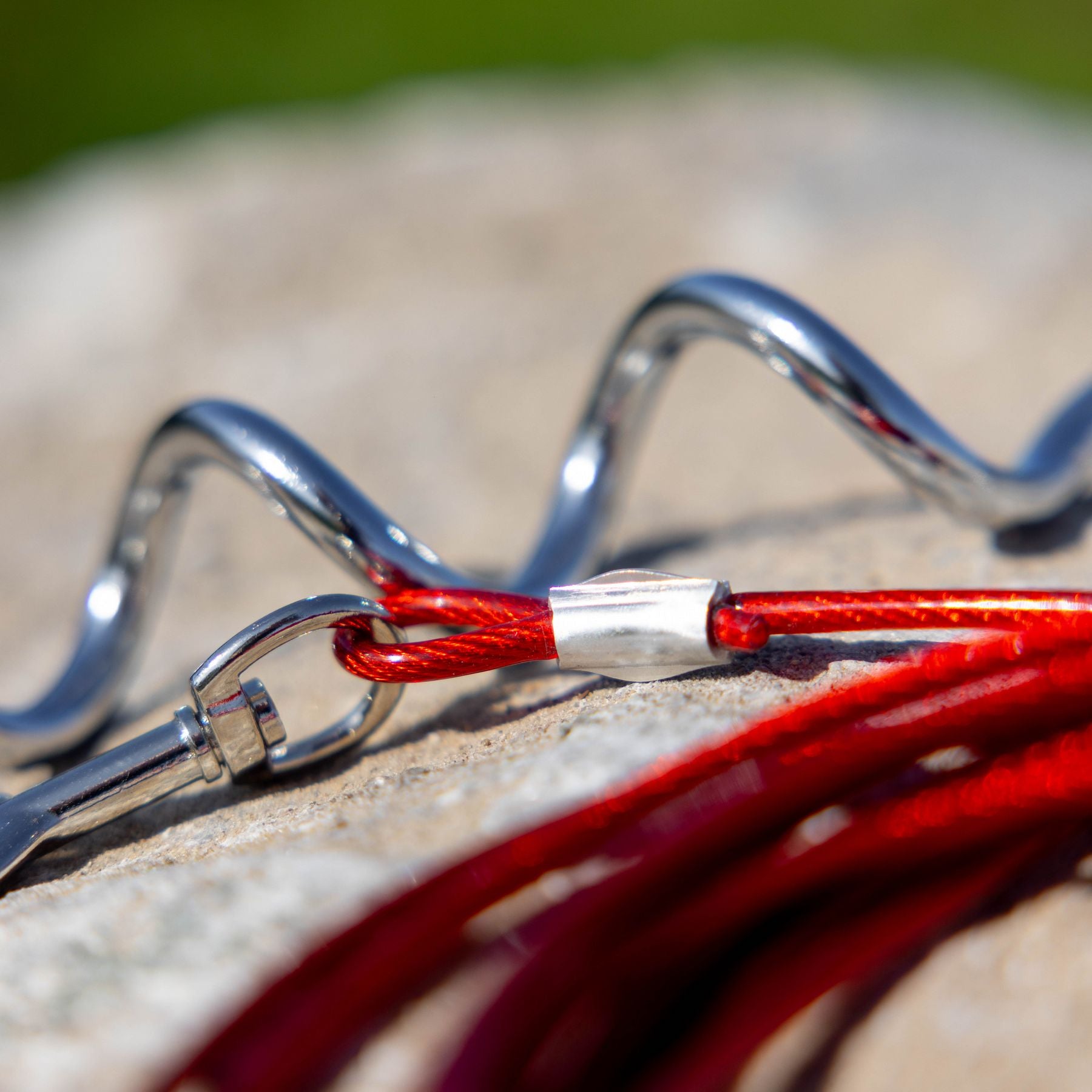 EveBase hondenriem met 4 meter kabel