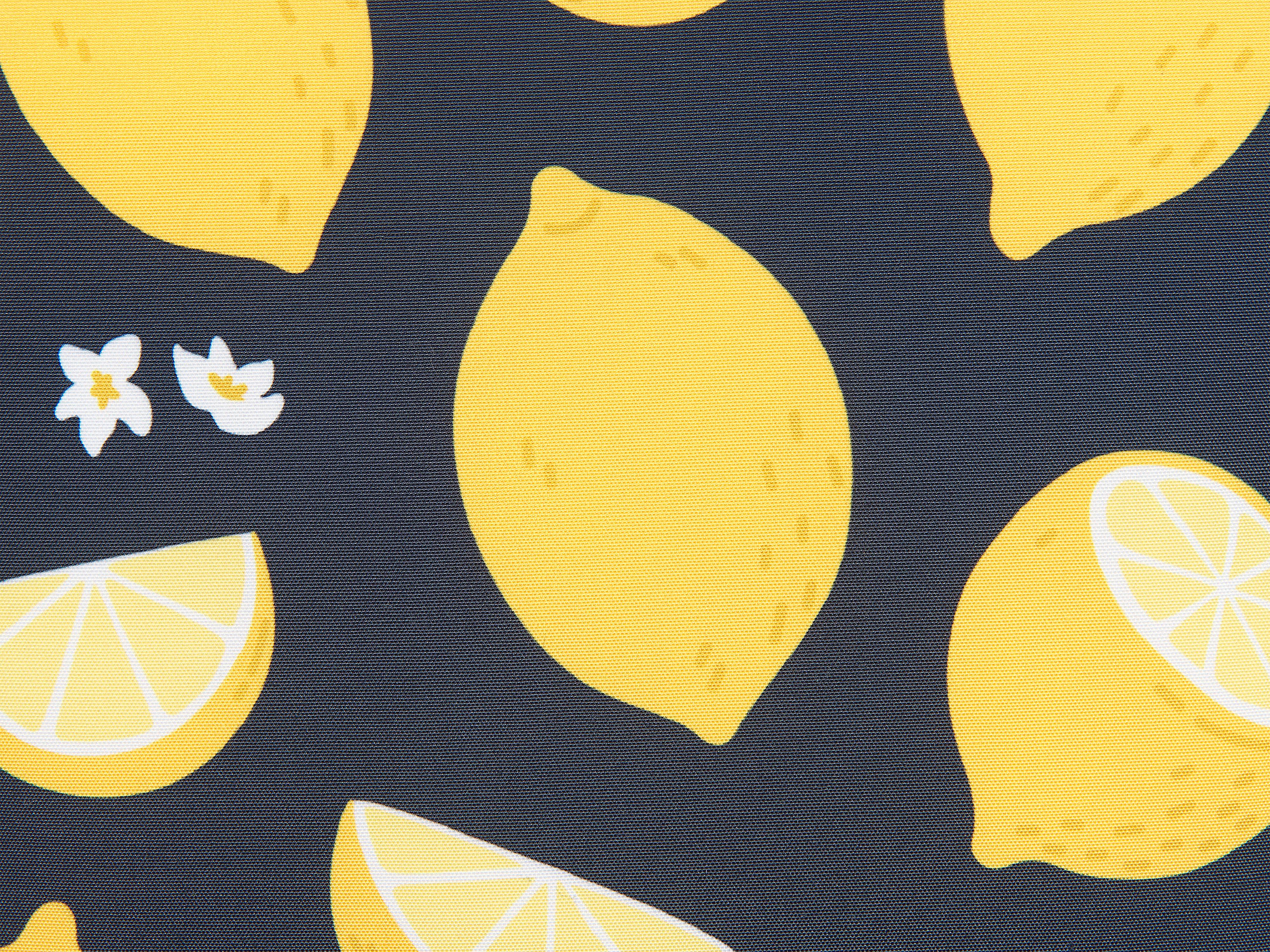 Set van 2 sierkussens CITRUS 45 x 45 cm Zwart bladpatroon