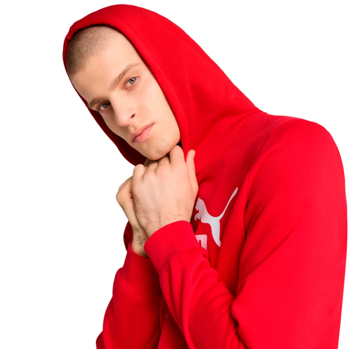Sweatshirt Puma Essentials No. 1 Logo