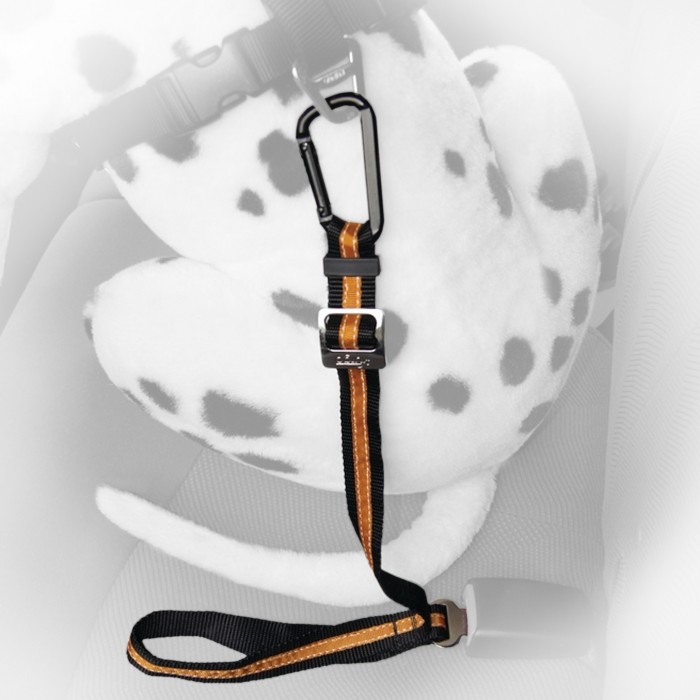 Attache voiture Tether