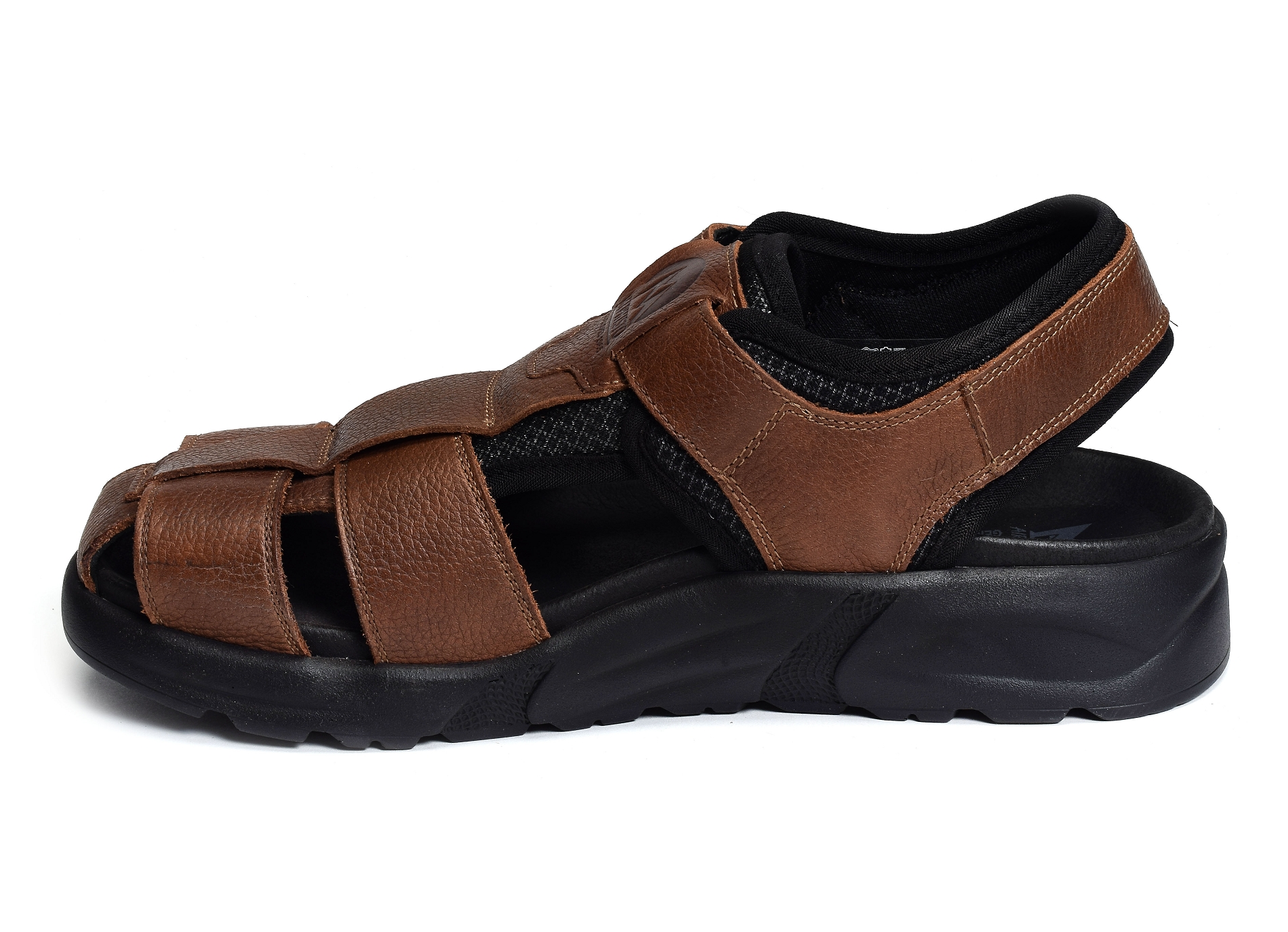 Toren camel