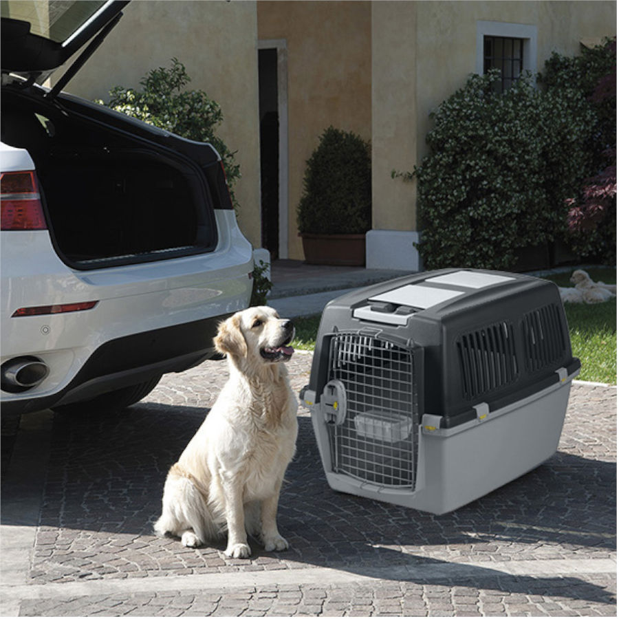 Transportadora para cães Stefanplast Gulliver 5 IATA