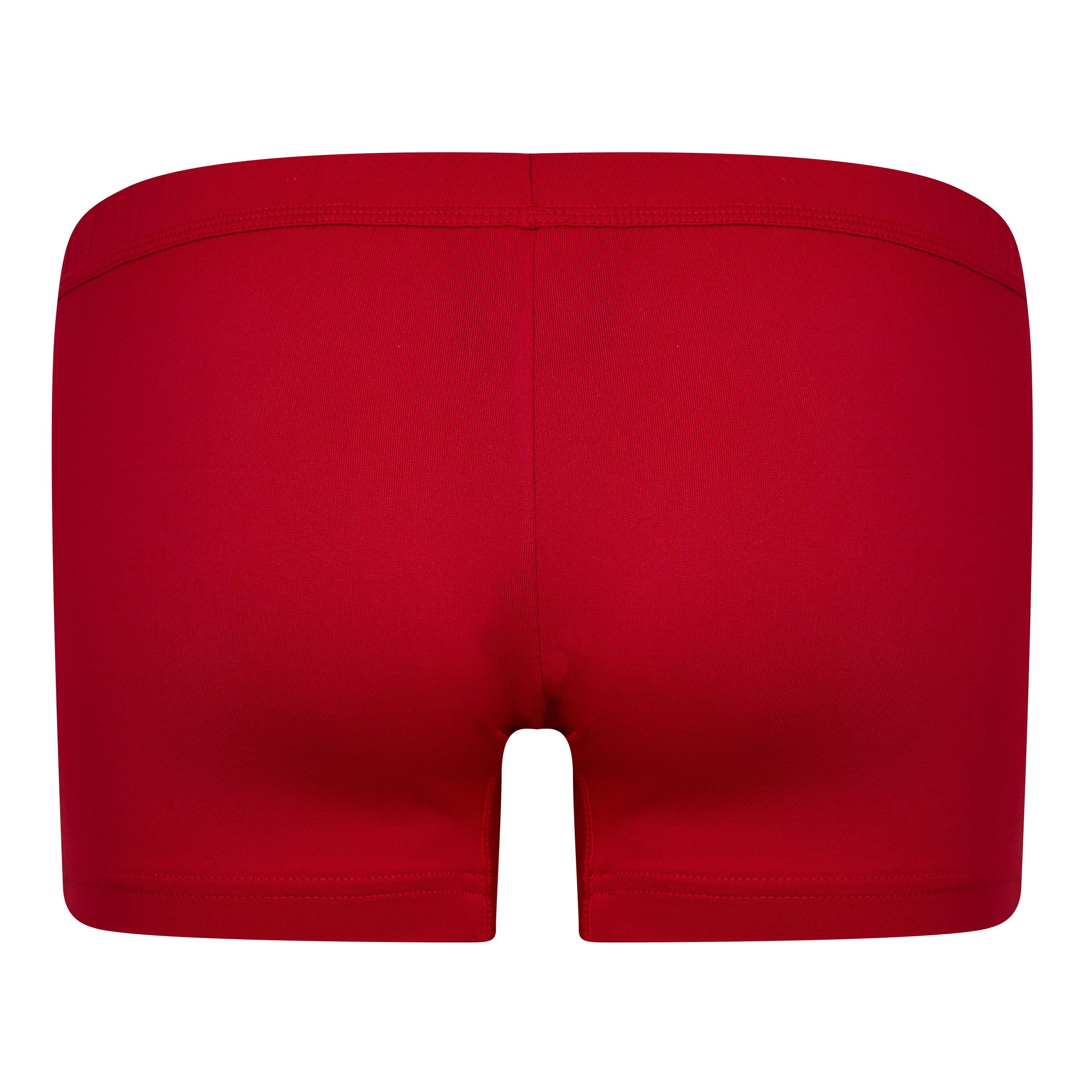 Mizuno Pro Netball Shorts