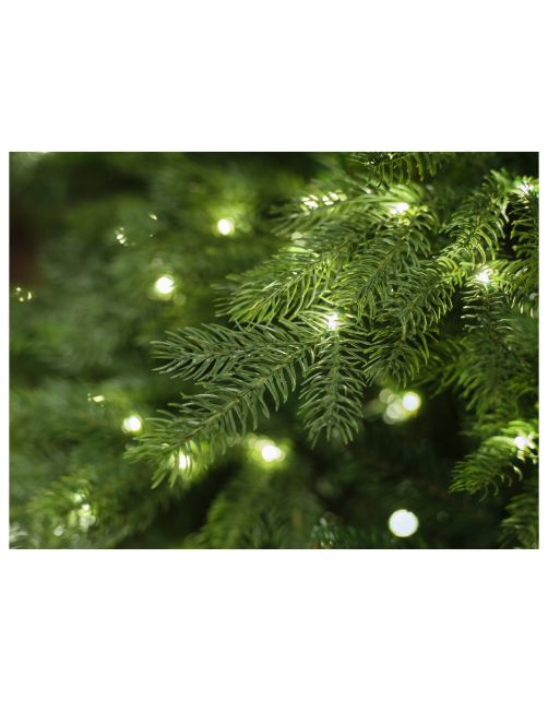 Everlands Kerstboom Grandis Fir Prelit Groen - Kerstboom