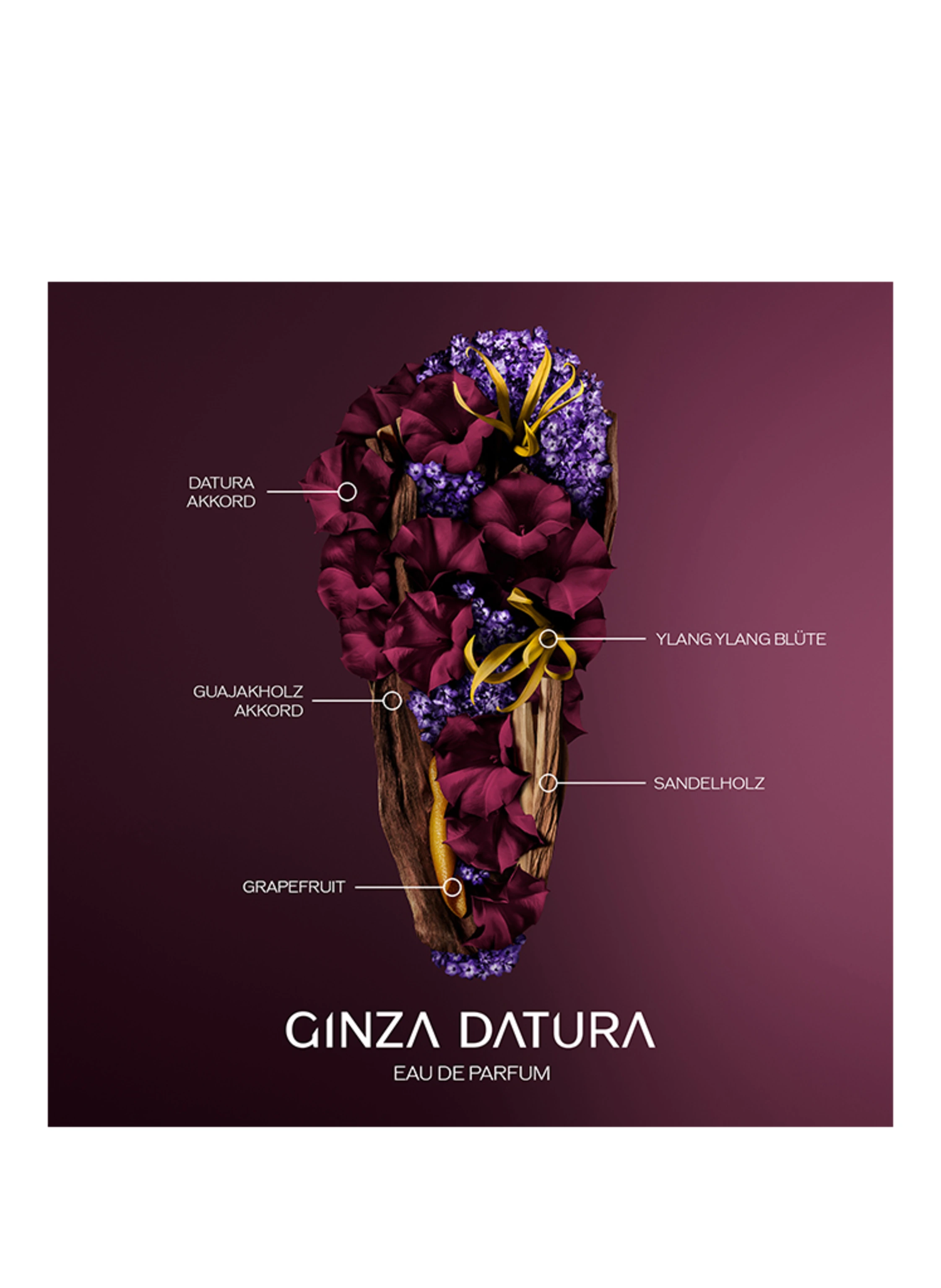 SHISEIDO GINZA DATURA
