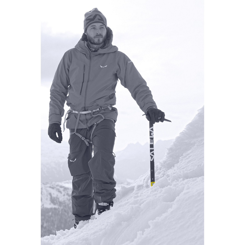 Salewa Alpin-X Eispickel