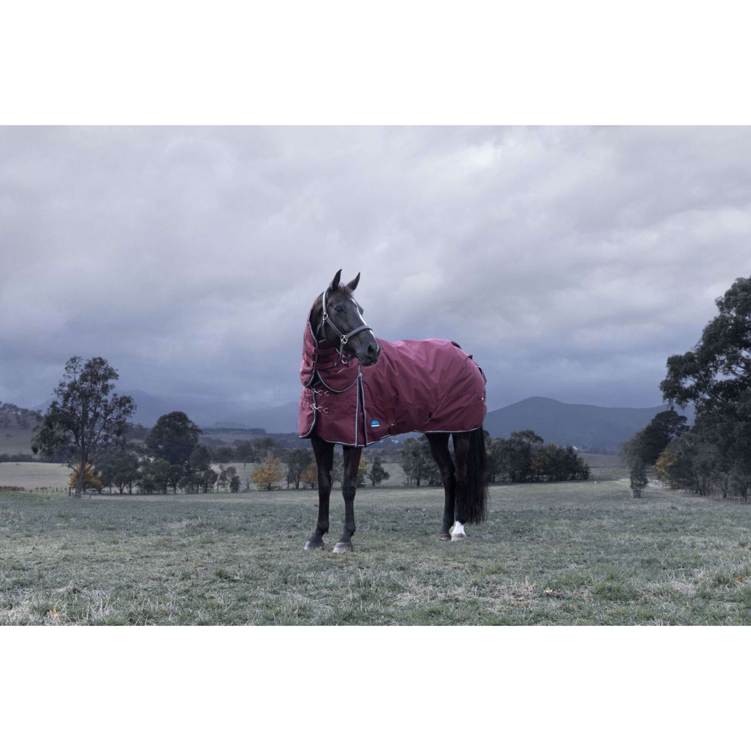 WeatherBeeta ComFiTec Essential Turnout Detach-A-Neck 220g Burgundy/Na