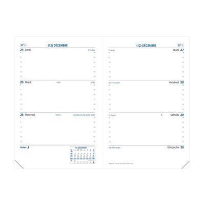 Agenda Impala Sapax - 1 semaine sur 2 pages - 10 x 15 cm - orange - Quo Vadis