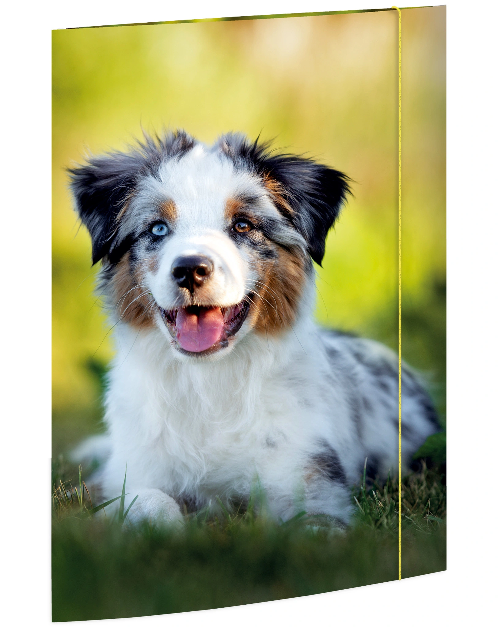 Zeichenmappe BEST FRIEND (31x44) A3