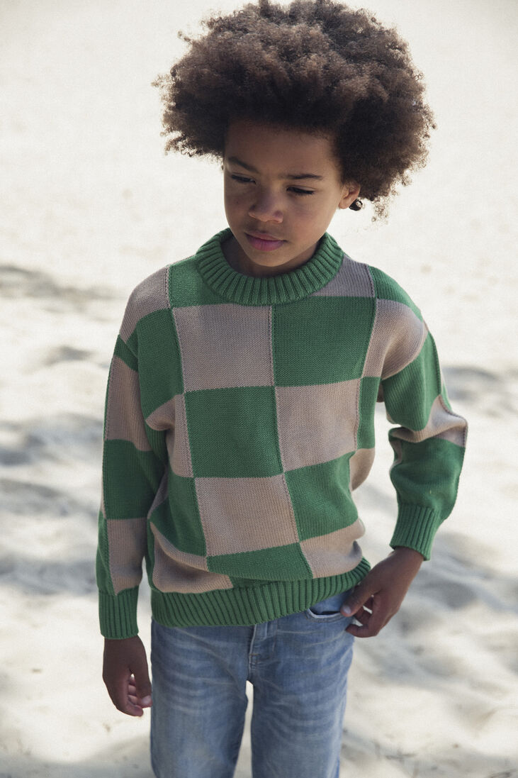 AMMEHOELA groene ammehoela sweater am.jumper.15