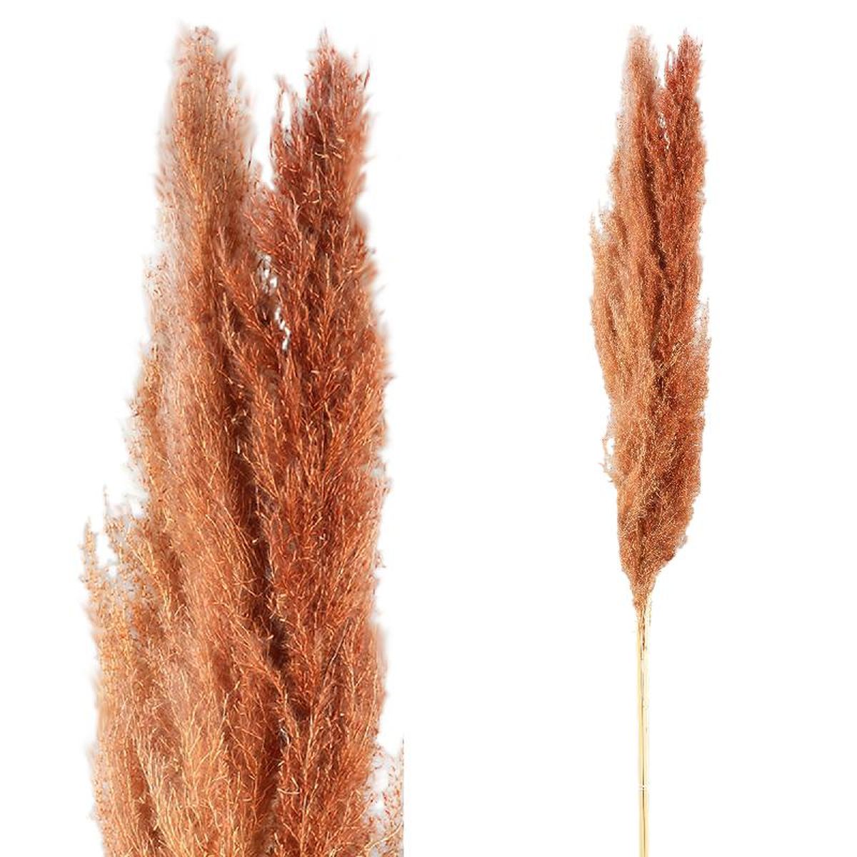 Ptmd branche artificielles dried - 65x7x110 cm - plastique - marron - set de 3